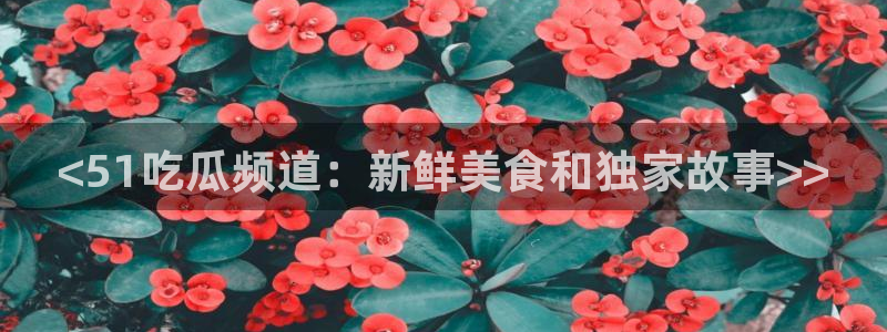 网站吃瓜：<51吃瓜频道：新鲜美食和独家故事>>