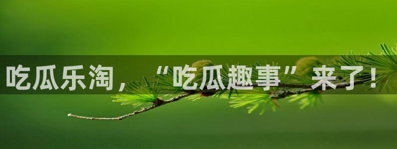 长生武道:从九龙夺嫡开始吃瓜：吃瓜乐淘，“吃瓜趣事”来了！