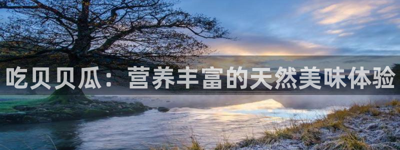 51吃瓜全网吃最快的瓜：吃贝贝瓜：营养丰富的天然美味体验