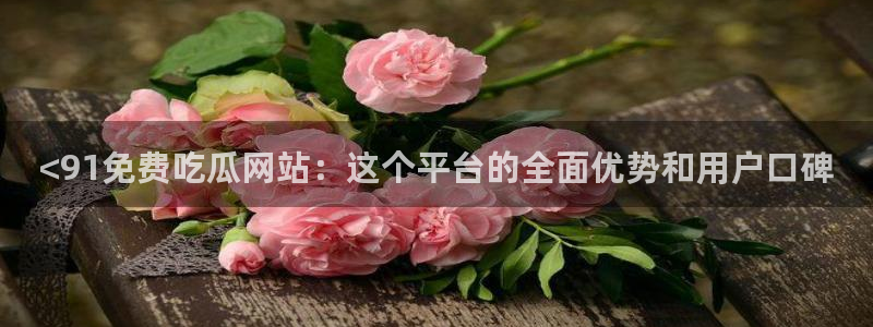 网站吃瓜