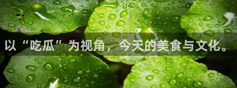 51吃瓜今日吃瓜在线：以“吃瓜”为视角，今天的美食与文化。