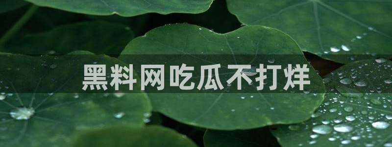 网站吃瓜