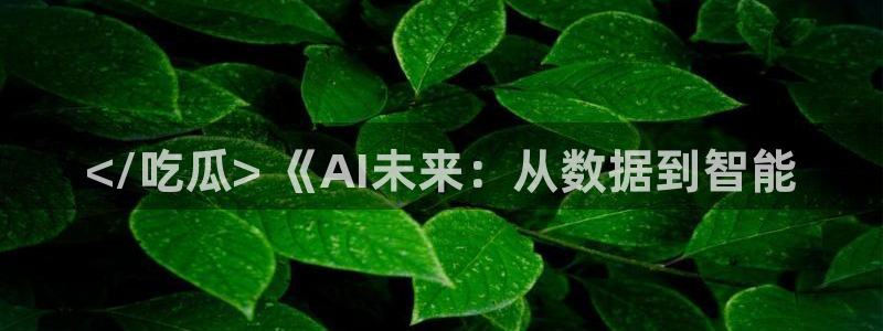 网站吃瓜：</吃瓜> 《AI未来：从数据到智能