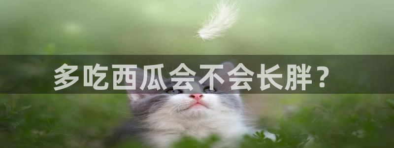 cg吃瓜群众最新版网址