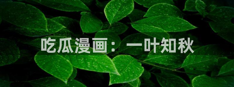 www.黑料：吃瓜漫画：一叶知秋