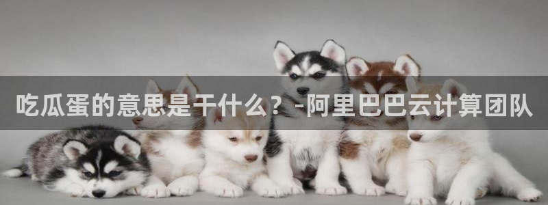 51吃瓜最新吃瓜入口
