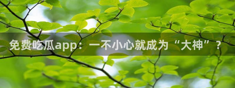 吃瓜.