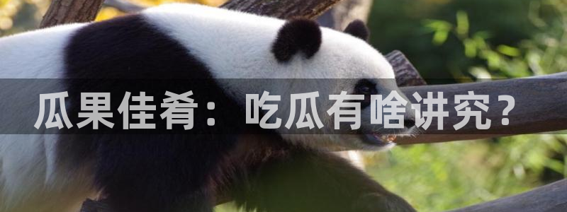 51吃瓜最新吃瓜入口：瓜果佳肴：吃瓜有啥讲究？