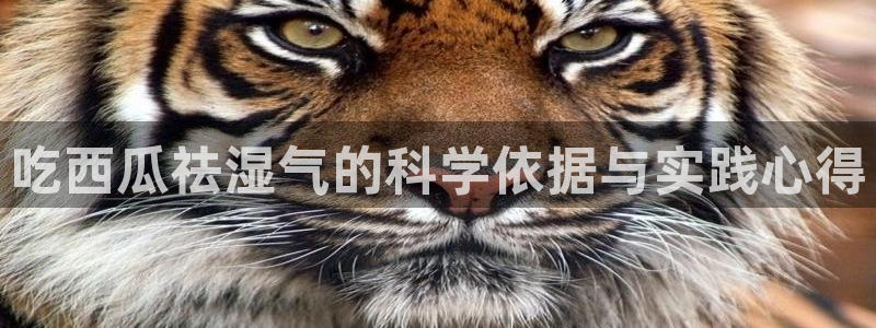 51吃瓜出品短剧怎么下载：吃西瓜祛湿气的科学依据与实践心得
