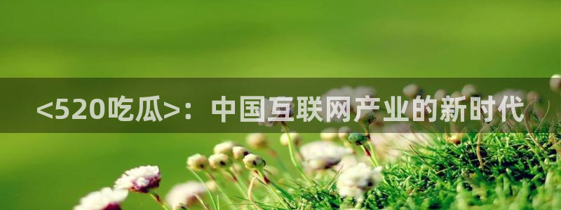 吃瓜最新：<520吃瓜>：中国互联网产业的新时代