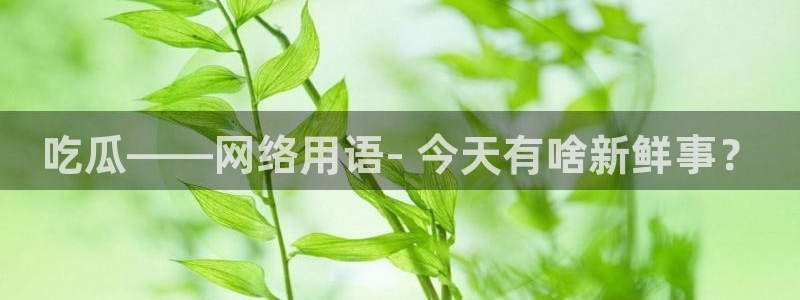 高血糖可以吃贝贝瓜吗：吃瓜——网络用语- 今天有啥新鲜事？