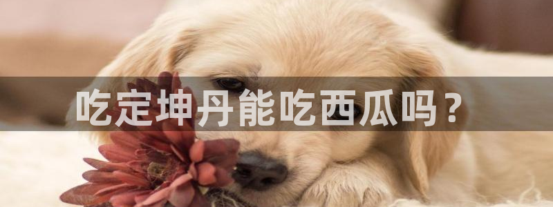 ccgg.mob今日吃瓜：吃定坤丹能吃西瓜吗？
