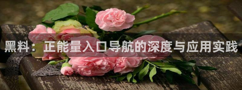 taipeinana51吃瓜：黑料：正能量入口导航的深度与应用实践