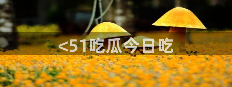 吃瓜网998.su永久有效