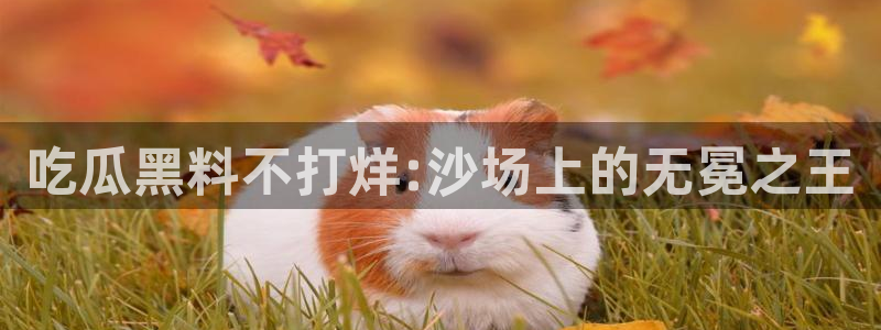 91吃瓜网今日吃瓜入口
