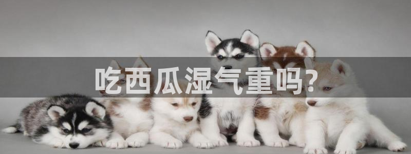 51吃瓜网51今日大大瓜：吃西瓜湿气重吗?
