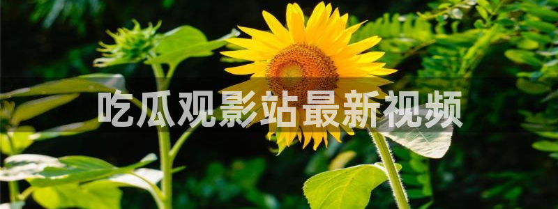 718.sⅹ吃瓜718.sx：吃瓜观影站最新视频