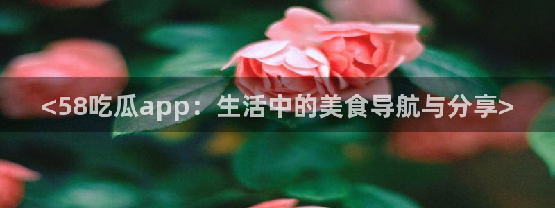 51吃瓜今日吃瓜最新网址：<58吃瓜app：生活中的美食导航与分享>