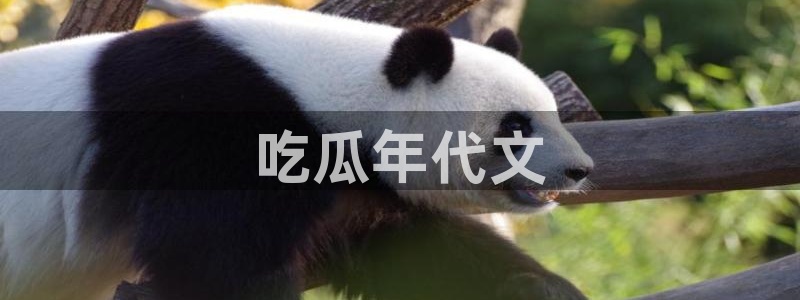 黑料揭秘：吃瓜年代文