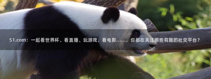 ccgg今日吃瓜：51.com：一起看世界杯、看直播、玩游戏、看电影……，你都在关注哪些有趣的社交平台？