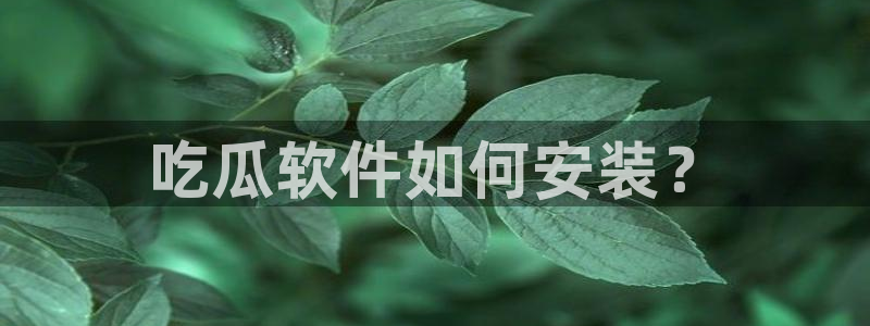吊瓜树的瓜可以吃吗