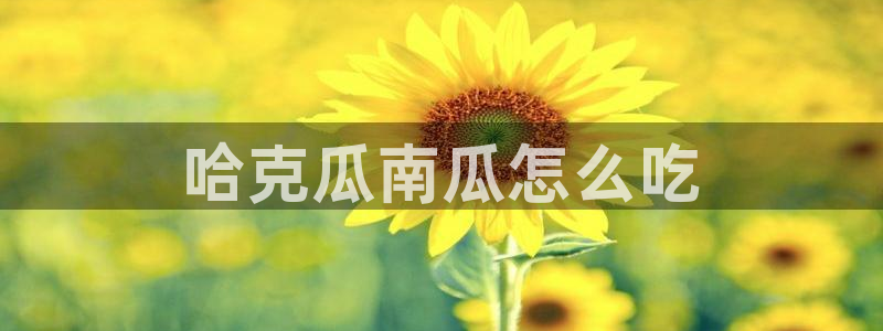 板栗瓜怎样做最好吃:哈克瓜南瓜怎么吃