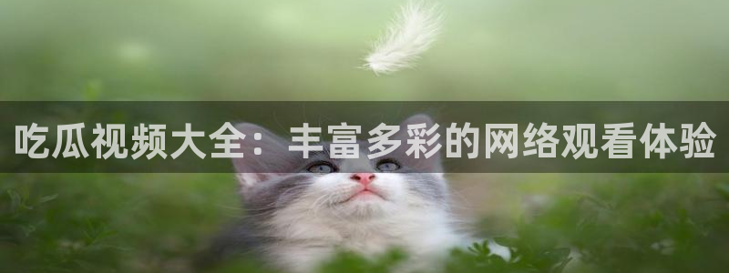 www.黑料.com