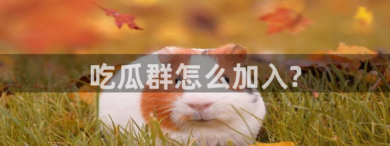 www.吃瓜:吃瓜群怎么加入?