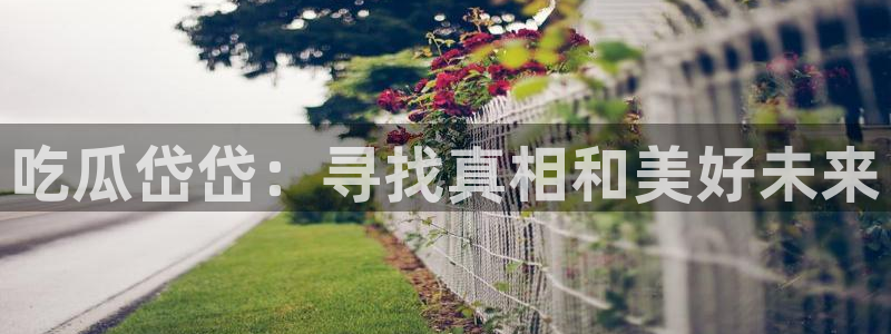 51吃瓜今日吃瓜在线:吃瓜岱岱:寻找真相和美好未来